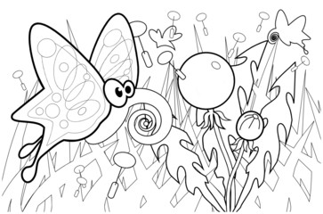 Butterfly and dandellion