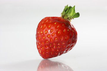 fragola 3