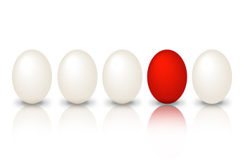 Eier