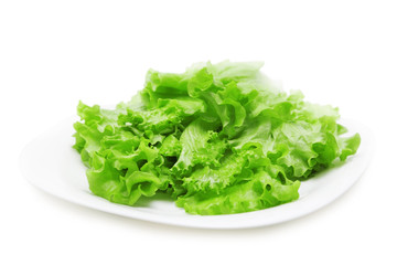 Lettuce