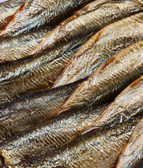 sardines