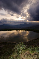 bush and mirror of water at sunset