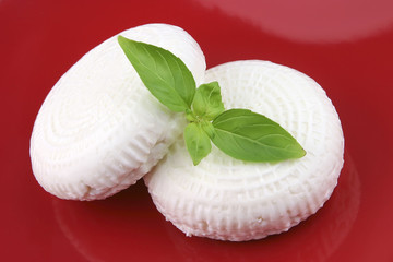 round goat cheese