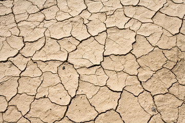 Dry Mud Cracked Desert Ground Background Pattern