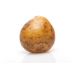 Fototapeta premium Potato