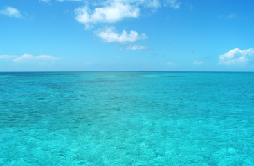 Fototapeta na wymiar Lagon bleu, mer tropicale, Maldives