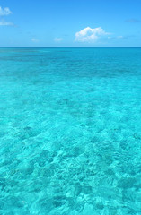Fototapeta na wymiar Lagon bleu, mer tropicale, Maldives