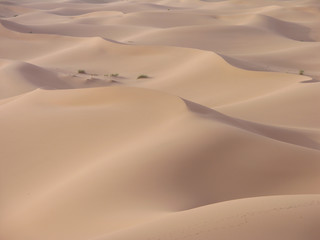 Fototapeta na wymiar vagues de sable