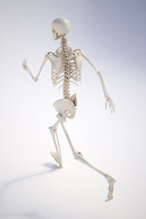 Running human skeleton