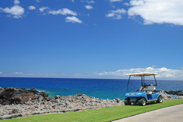 Golf cart at a beach resort in Hawaii