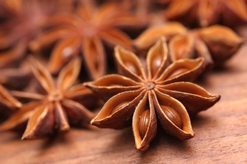 Sternanis