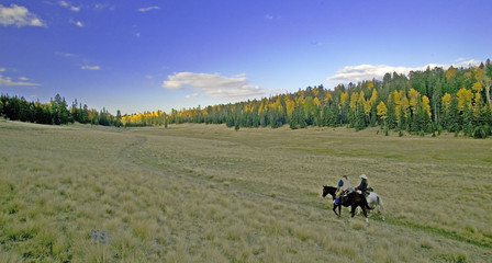 Scenic Horseback Riding
