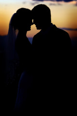 Wedding Silhouette