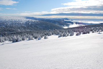 Fototapeta na wymiar winter jeseniky mountains
