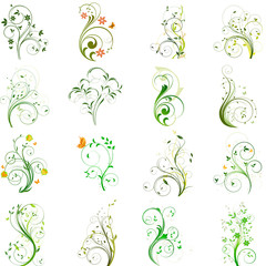 Set of floral vector elements