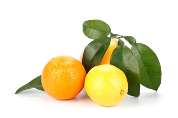 Fruits with green leaves