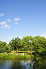 Picnic by the river