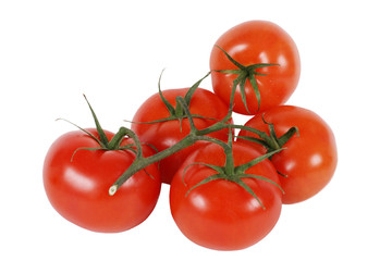 Five tomatos with twig