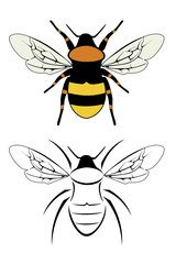 A set of two bumble bees