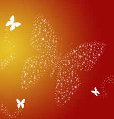 Papillon2 © Naty Strawberry