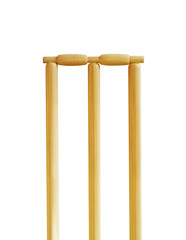 Cricket stumps - 12465921