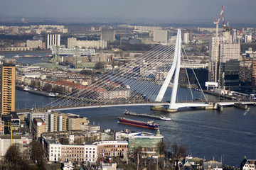 Erasmus bridge