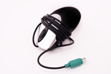 Fototapeta premium computer mouse
