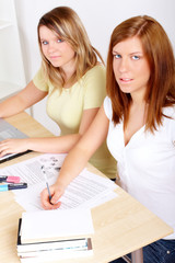 Students learning at desk