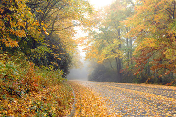 Autumn and Blue Ridge Parkway