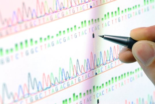 analyzing science graph on screen