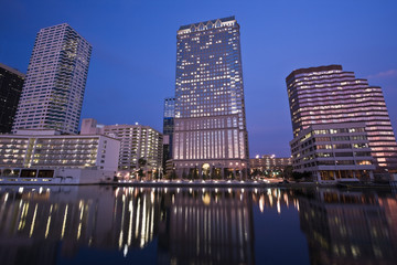 Fototapeta na wymiar Downtown Tampa