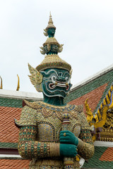 Guardian of the temple © Guy Shapira