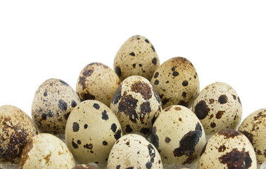 egg on white background