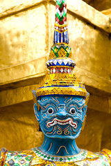 Guardian of the temple © Guy Shapira