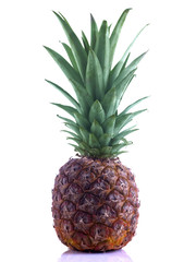 Obraz premium pineapple