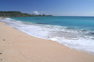 Tropical beach