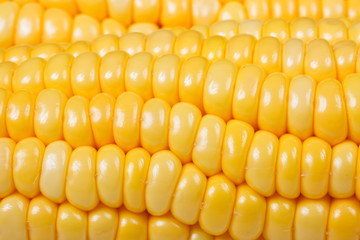 micro shot:details of corn
