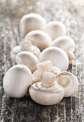 champignon