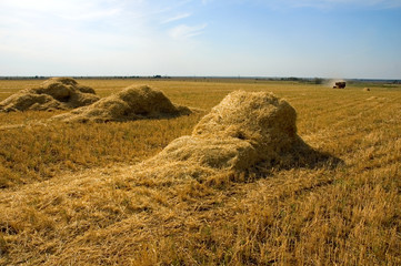 Harvesting