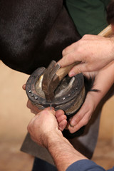 chez  le maréchal-ferrant © Claude Calcagno