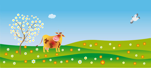 A cow admires in spring
