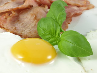 Eggs and bacon with basil, close-up.