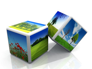nature en boite