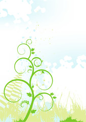 floral background, meadow, garden