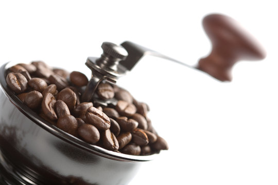 roasted coffee beans in coffee grinder isolated
