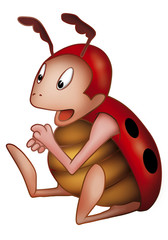 ladybird