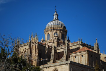 Fototapeta na wymiar Salamanca Cathedral, Spain