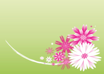 Fototapeta premium Bouquet de dahlia roses et blancs sur fond dégradé vert