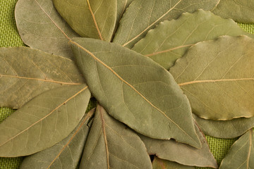 Bay leaves on green