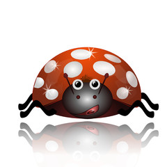 Coccinella